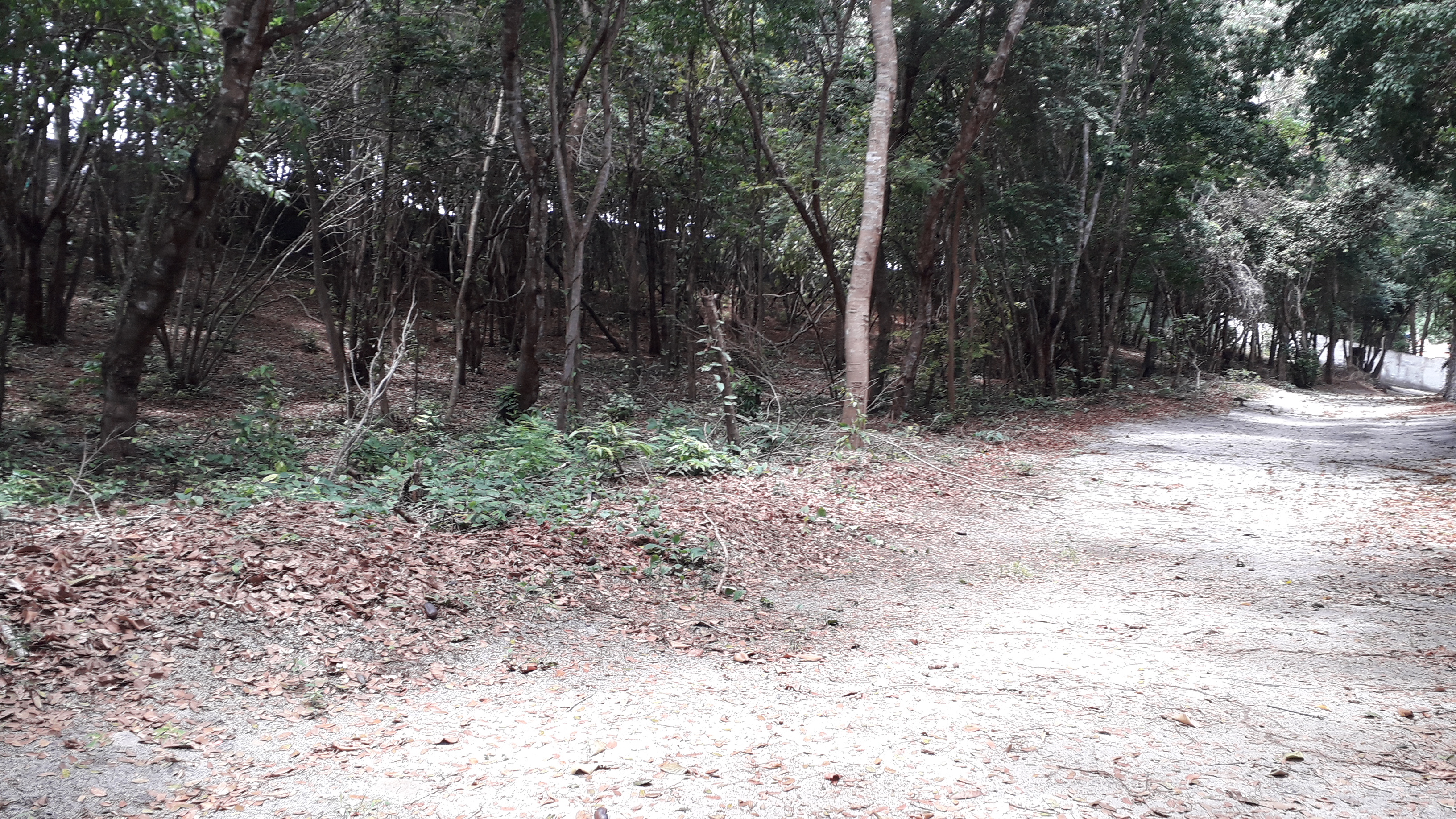 Terreno em excelente localização! T05